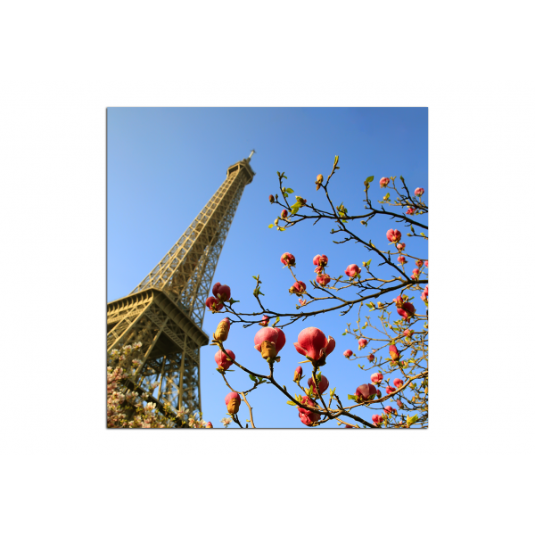 Obraz na plátně - Eiffelova věž v jarním období - čtverec